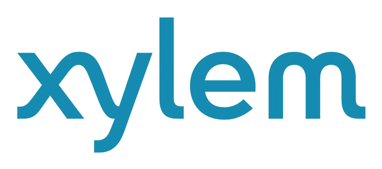 xylem